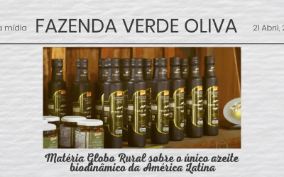 Matéria Globo Rural sobre o único azeite biodinâmico da América Latina